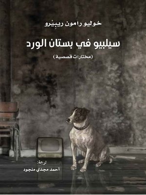 cover image of سيلبيو في بستان الورد